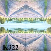 K322.jpg