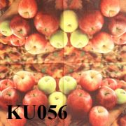 KU056.jpg