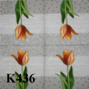 K436.jpg