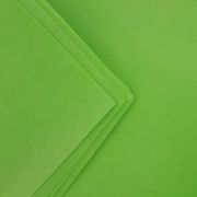foamiran-zimny-pianka-50x50cm-zielen-limonkowa.jpg